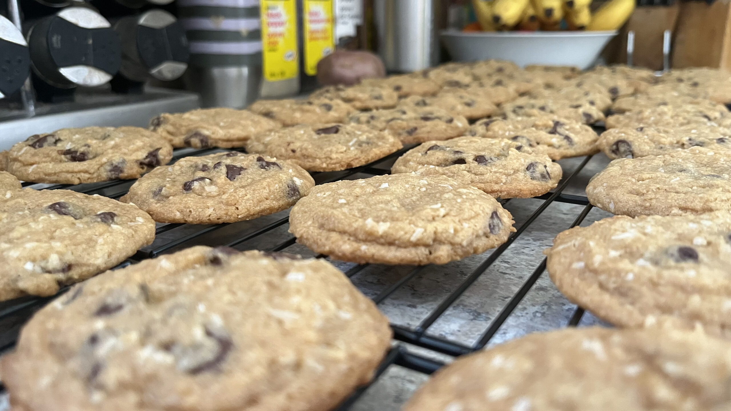 Chocolate chip coconut cookies