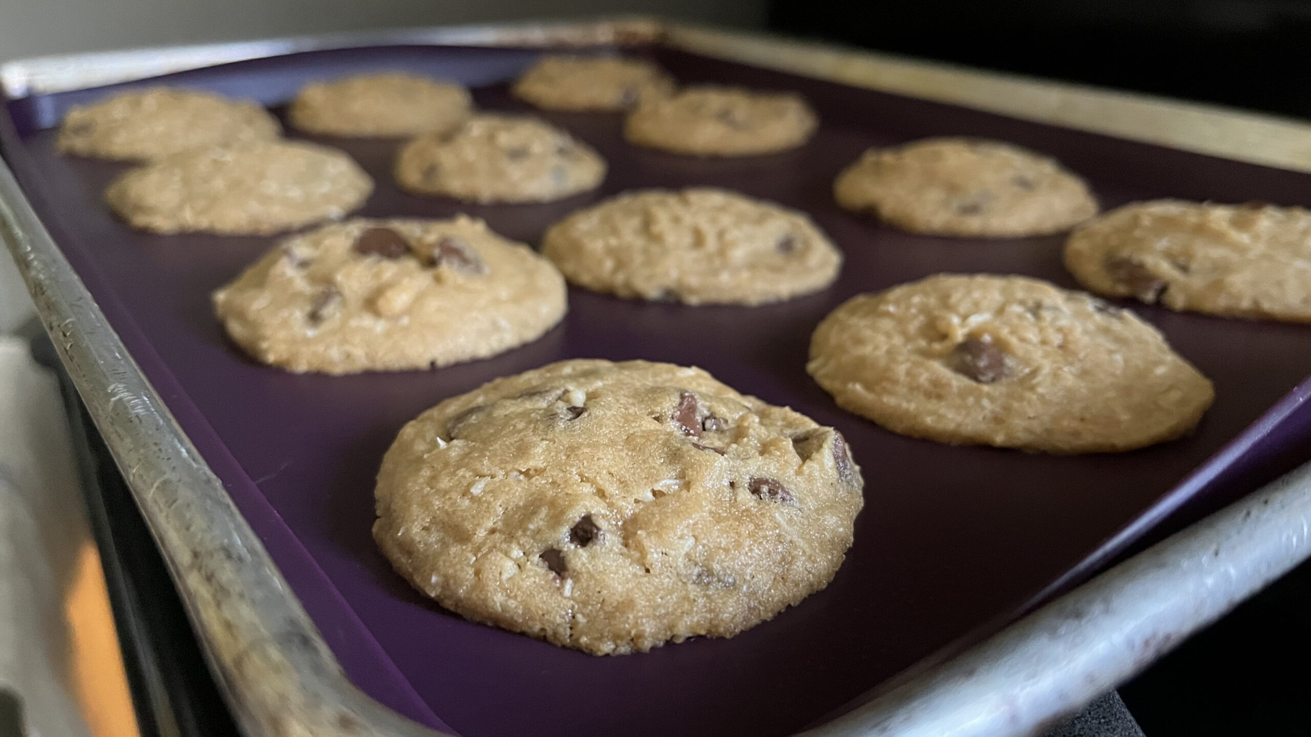 Coconut chocolate chip cookies