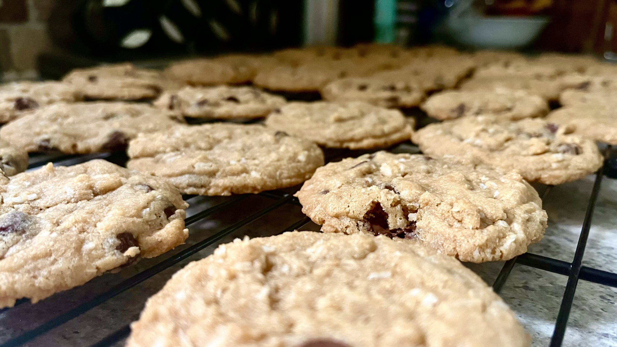 Coconut chocolate chip cookies